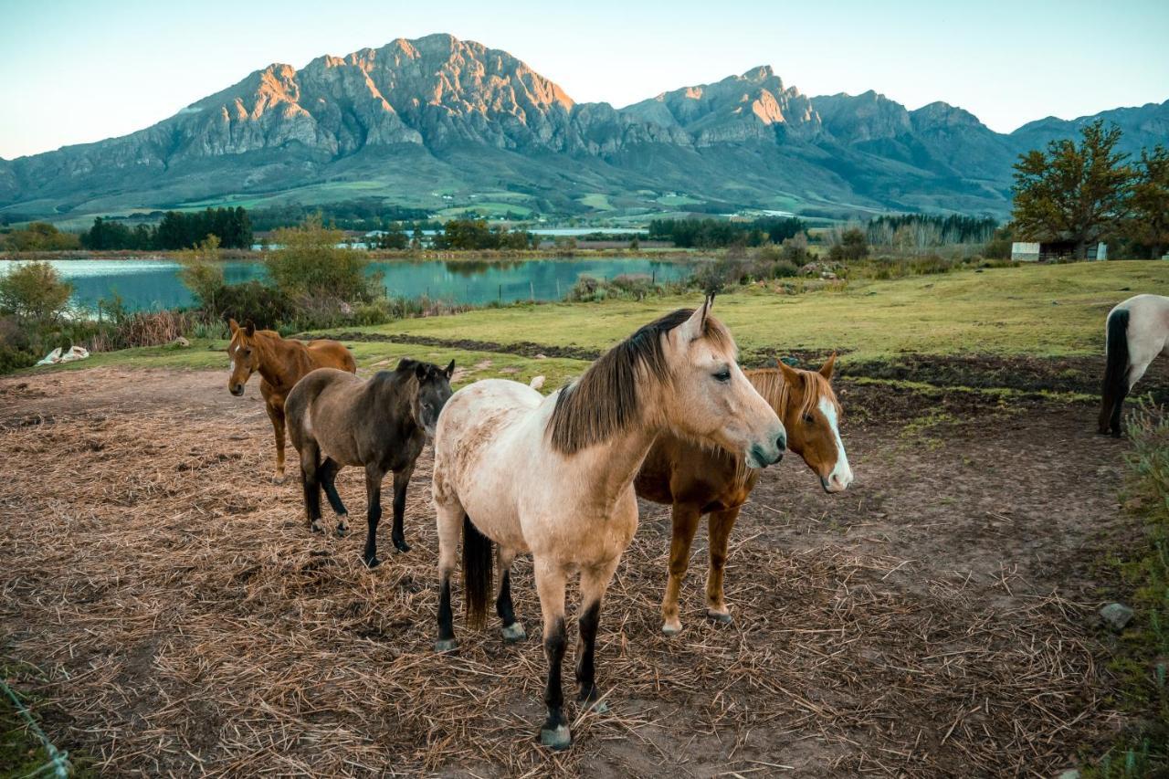 Tulbagh Boutique Heritage Hotel Exteriér fotografie